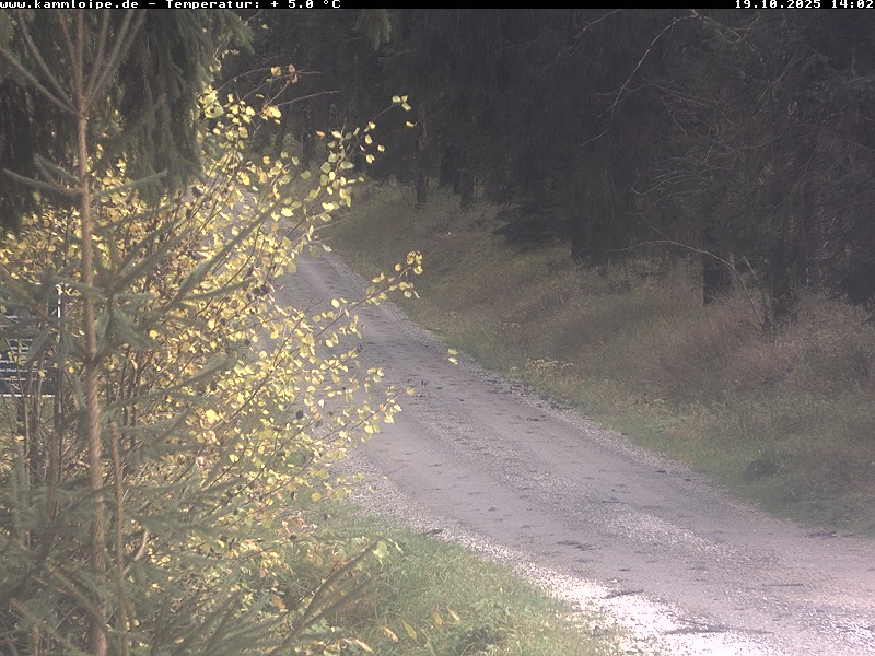 Webcam Weitersglashütte 1