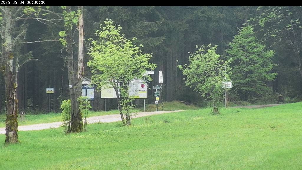 Webcam Johanngeorgenstadt