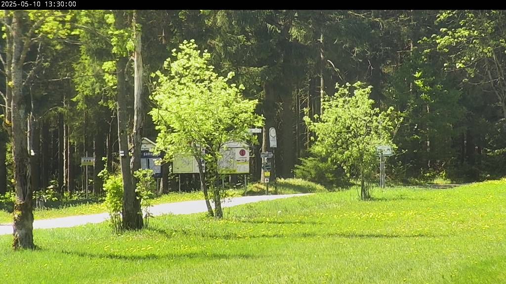 Webcam Johanngeorgenstadt