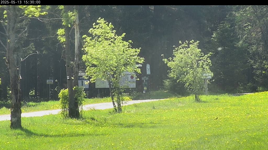 Webcam Johanngeorgenstadt