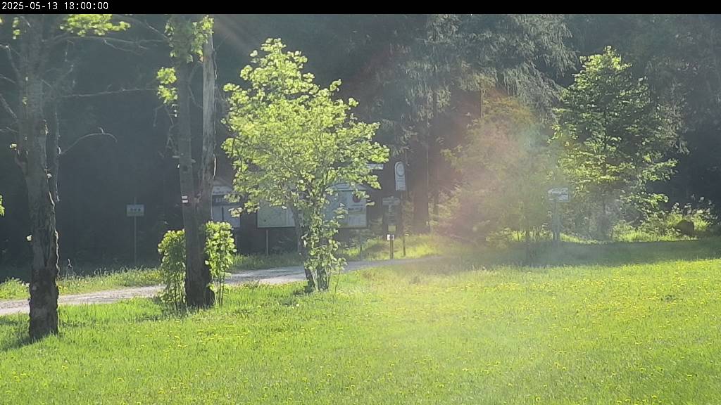 Webcam Johanngeorgenstadt