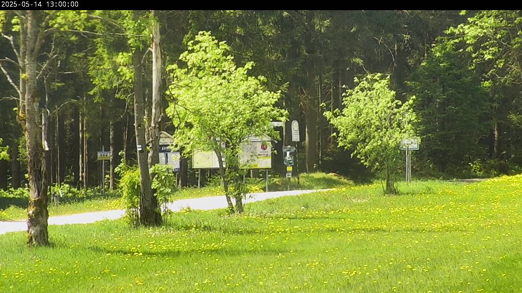 Webcam Johanngeorgenstadt