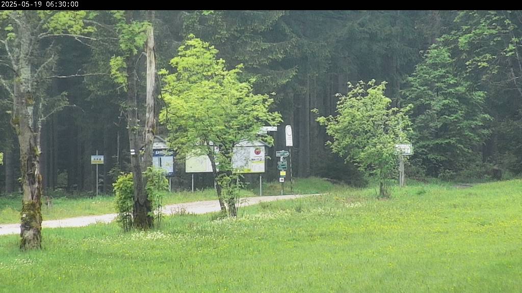 Webcam Johanngeorgenstadt