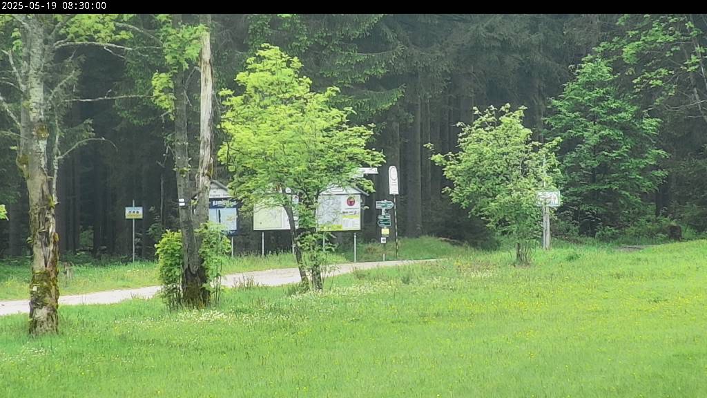 Webcam Johanngeorgenstadt