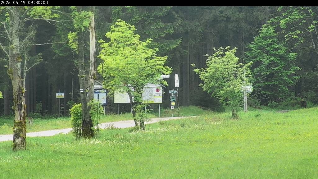 Webcam Johanngeorgenstadt