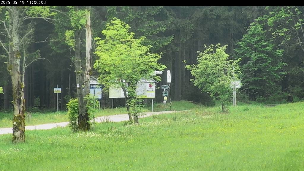 Webcam Johanngeorgenstadt