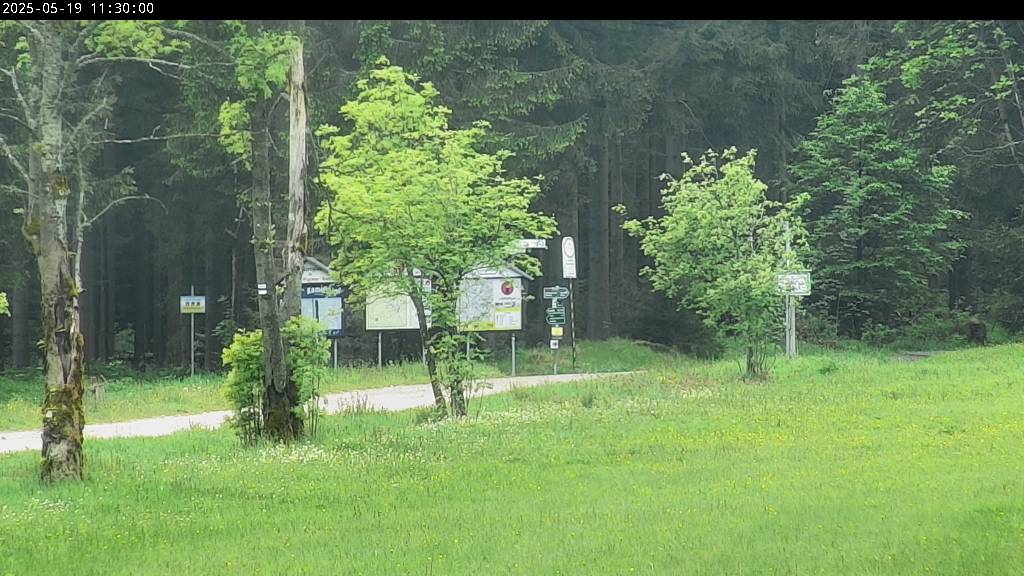 Webcam Johanngeorgenstadt