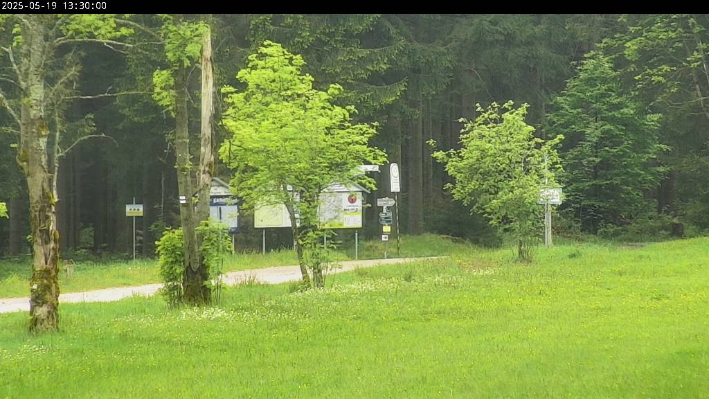 Webcam Johanngeorgenstadt