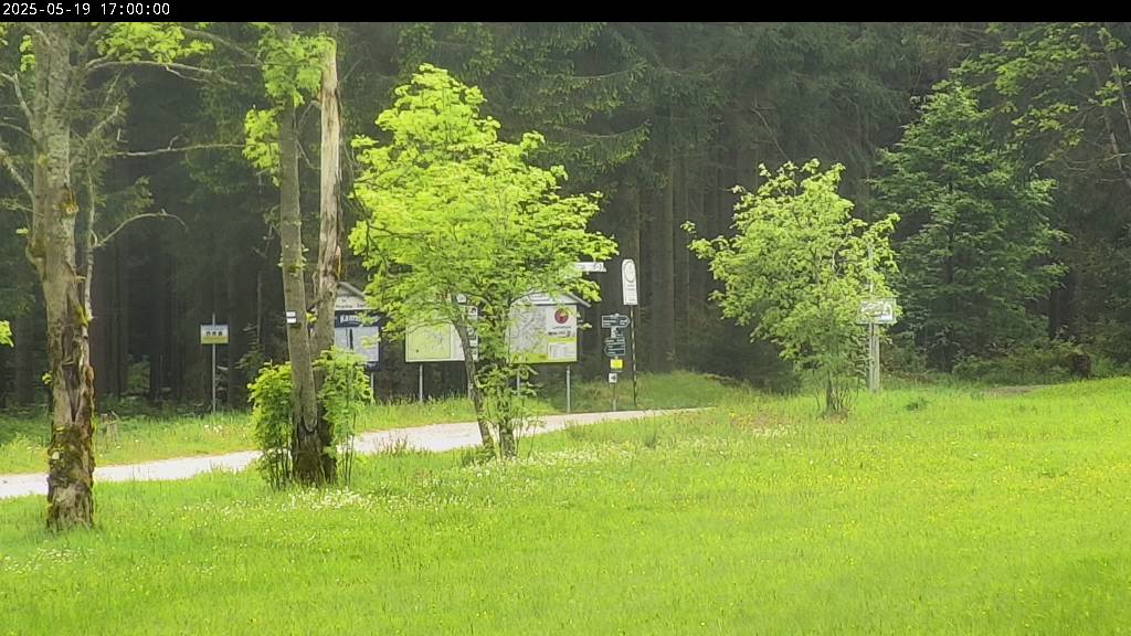 Webcam Johanngeorgenstadt