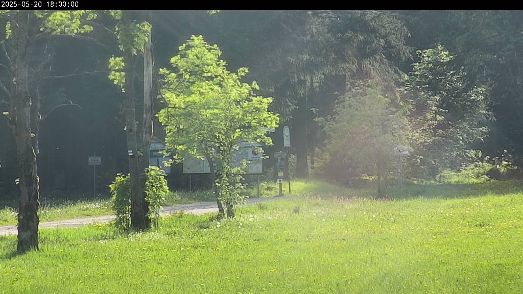 Webcam Johanngeorgenstadt