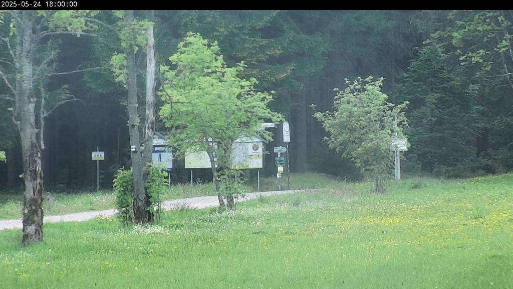 Webcam Johanngeorgenstadt