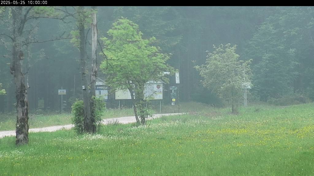 Webcam Johanngeorgenstadt