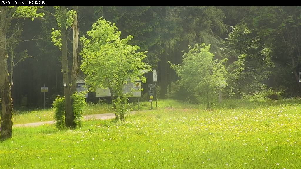 Webcam Johanngeorgenstadt