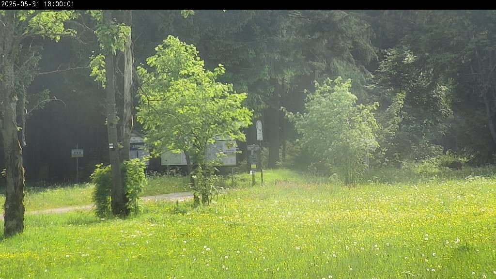 Webcam Johanngeorgenstadt