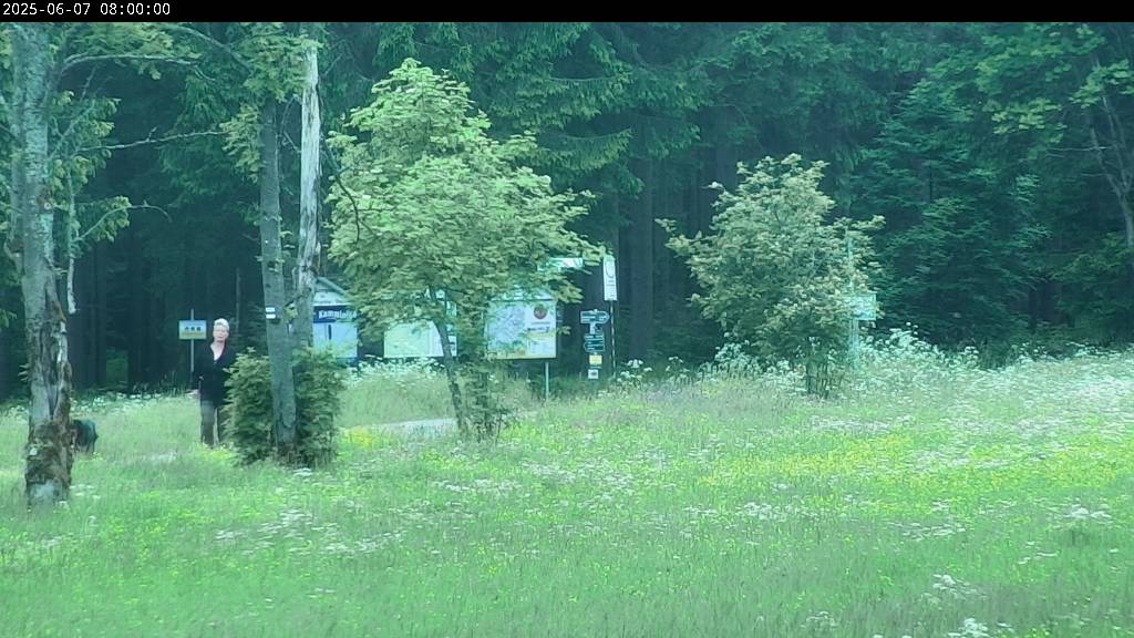 Webcam Johanngeorgenstadt