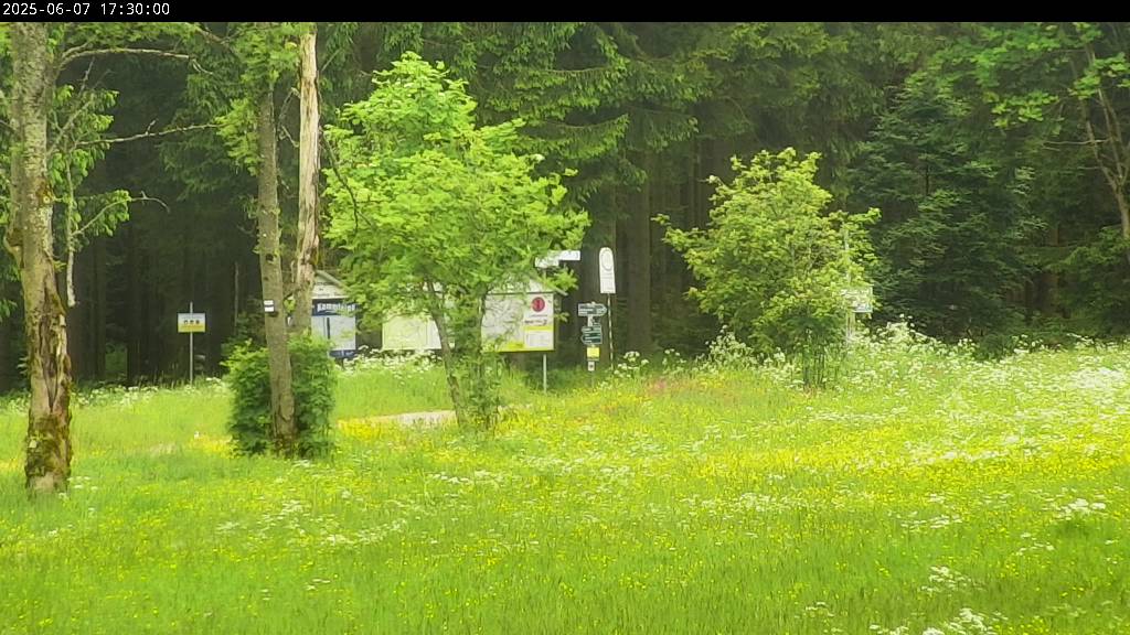 Webcam Johanngeorgenstadt
