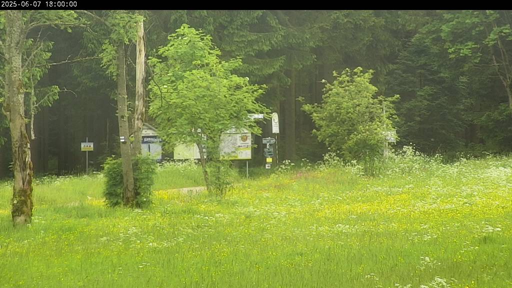Webcam Johanngeorgenstadt