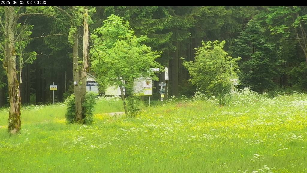 Webcam Johanngeorgenstadt