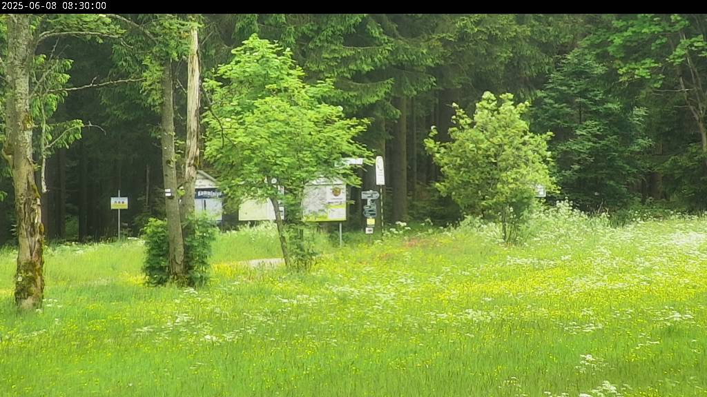 Webcam Johanngeorgenstadt