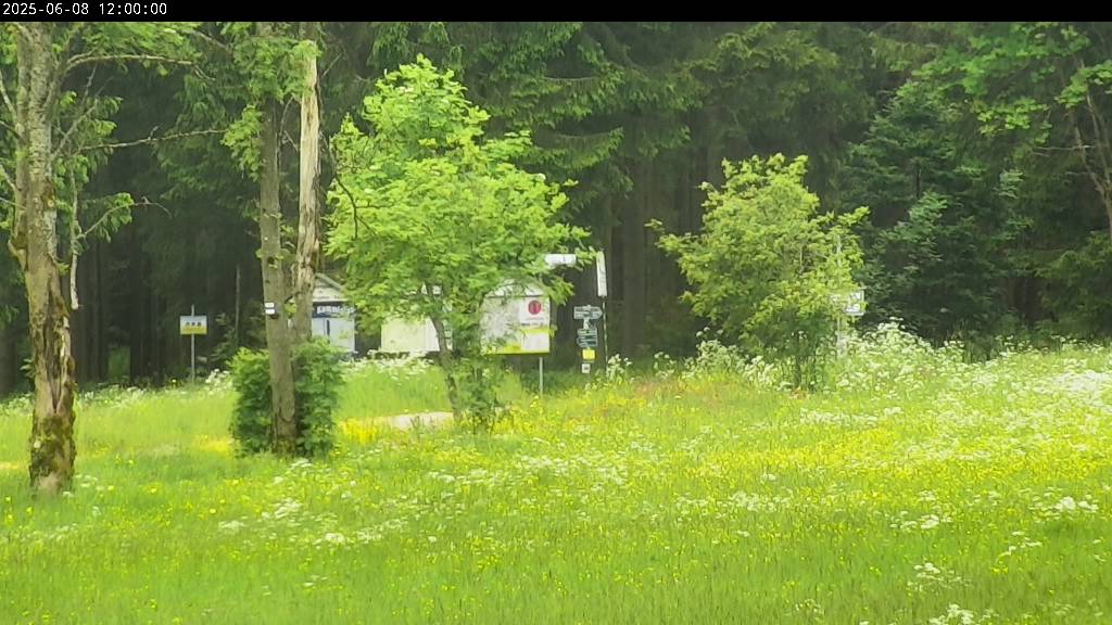 Webcam Johanngeorgenstadt