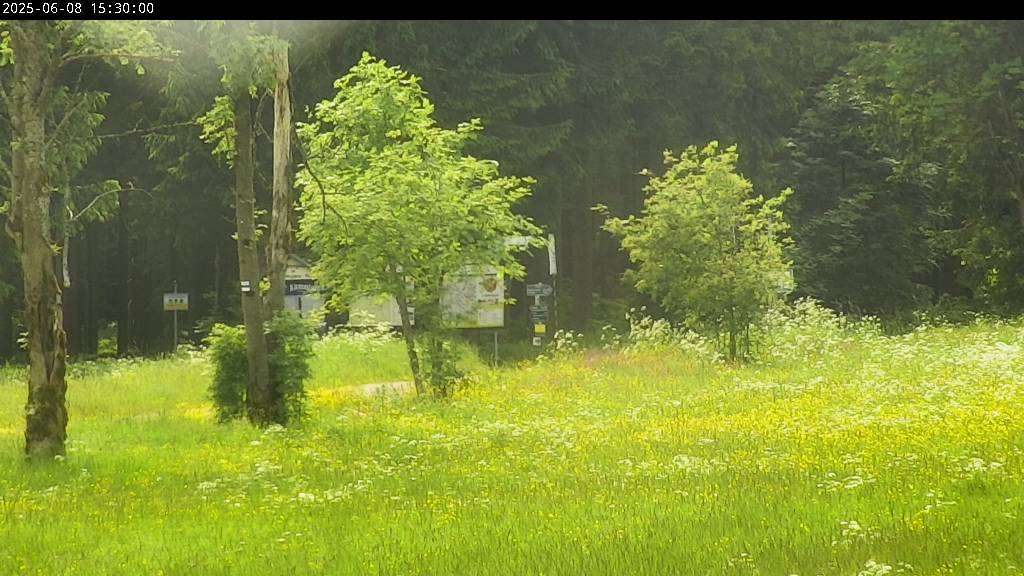 Webcam Johanngeorgenstadt