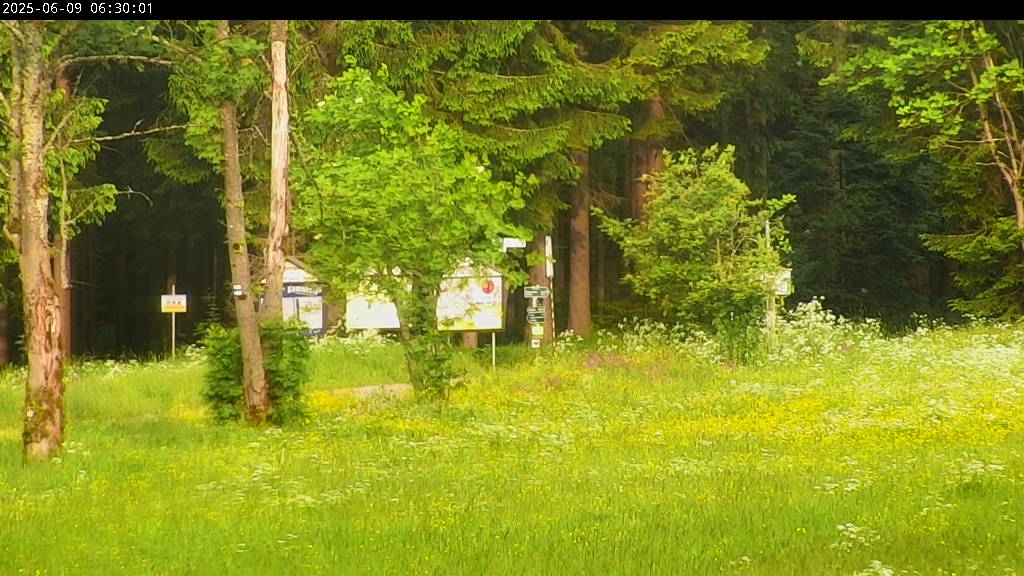 Webcam Johanngeorgenstadt