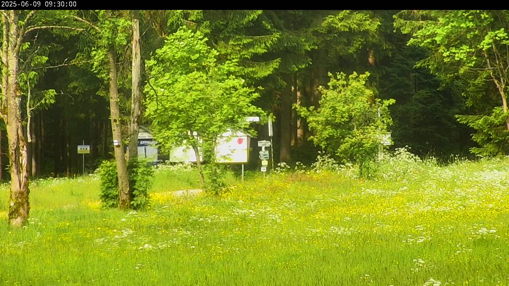 Webcam Johanngeorgenstadt