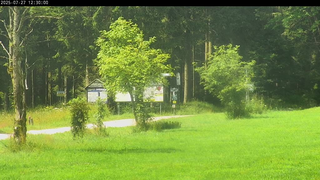 Webcam Johanngeorgenstadt