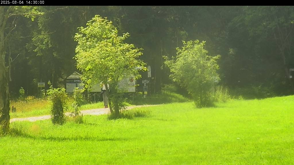 Webcam Johanngeorgenstadt