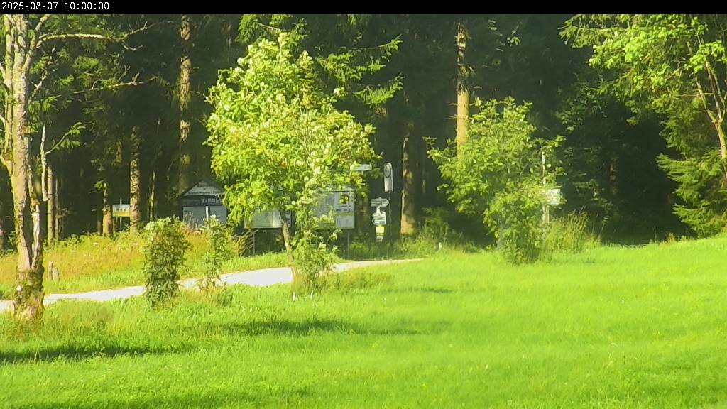 Webcam Johanngeorgenstadt