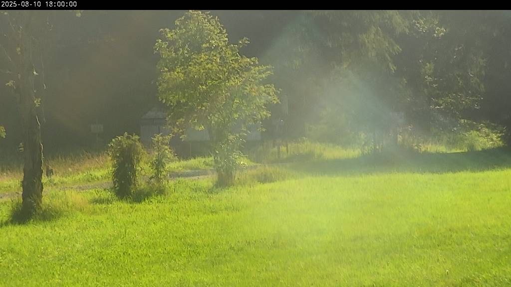 Webcam Johanngeorgenstadt