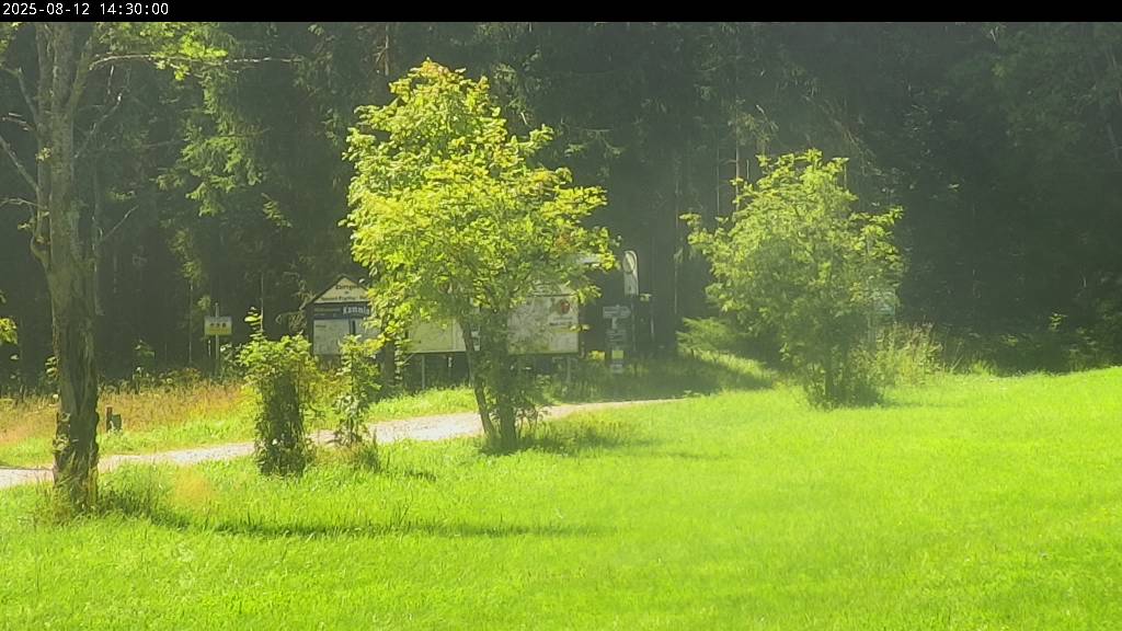 Webcam Johanngeorgenstadt