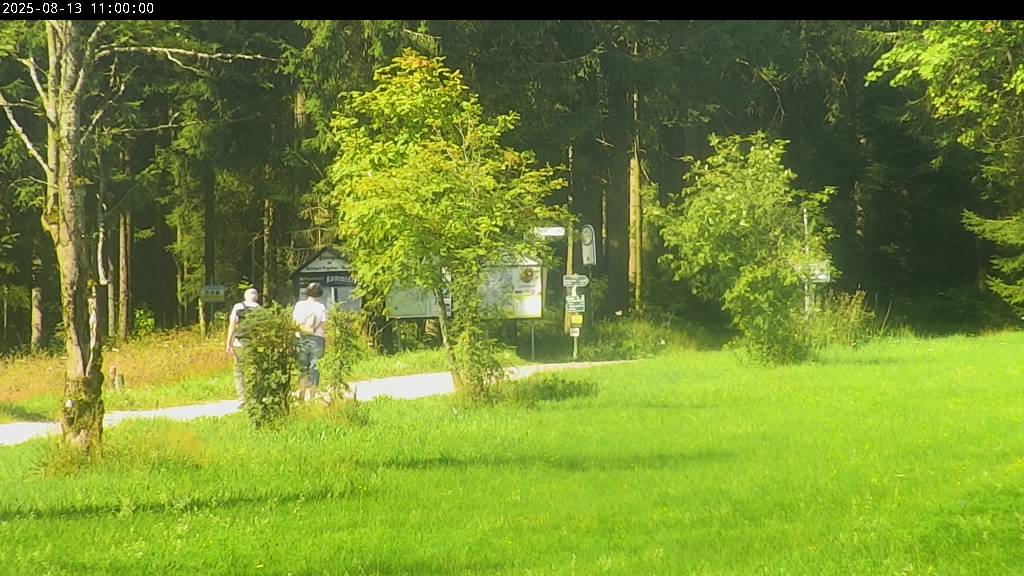 Webcam Johanngeorgenstadt