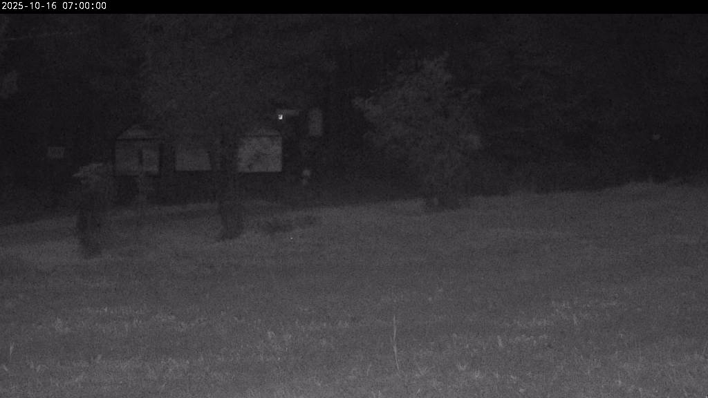 Webcam Johanngeorgenstadt