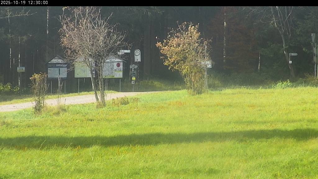 Webcam Johanngeorgenstadt