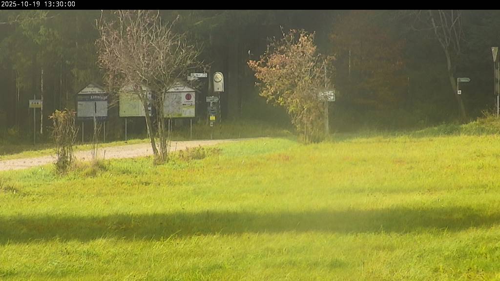 Webcam Johanngeorgenstadt