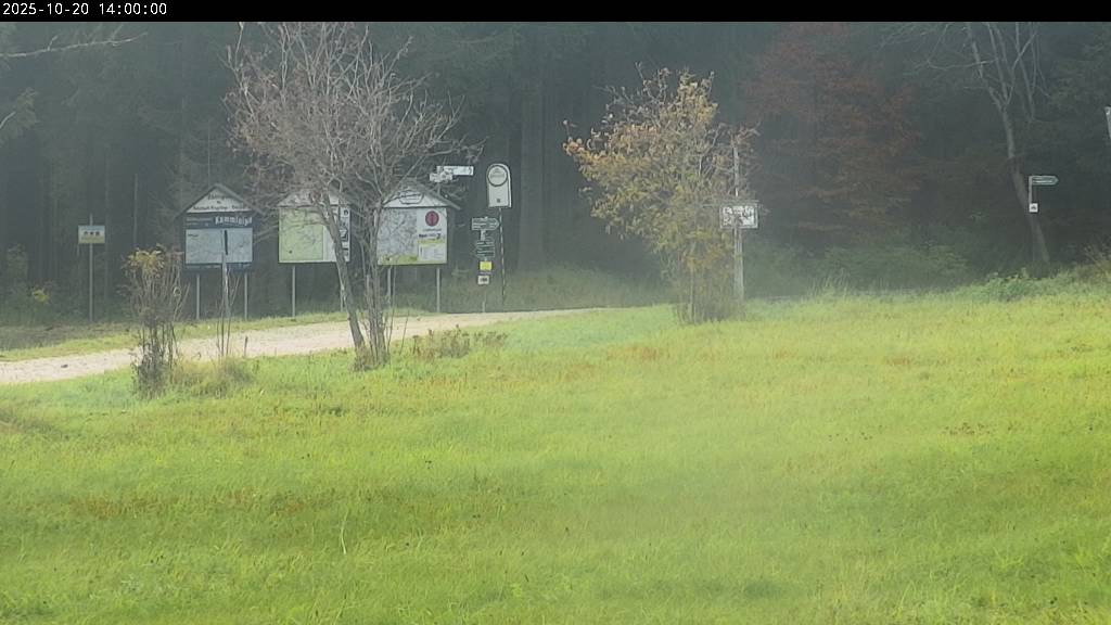 Webcam Johanngeorgenstadt