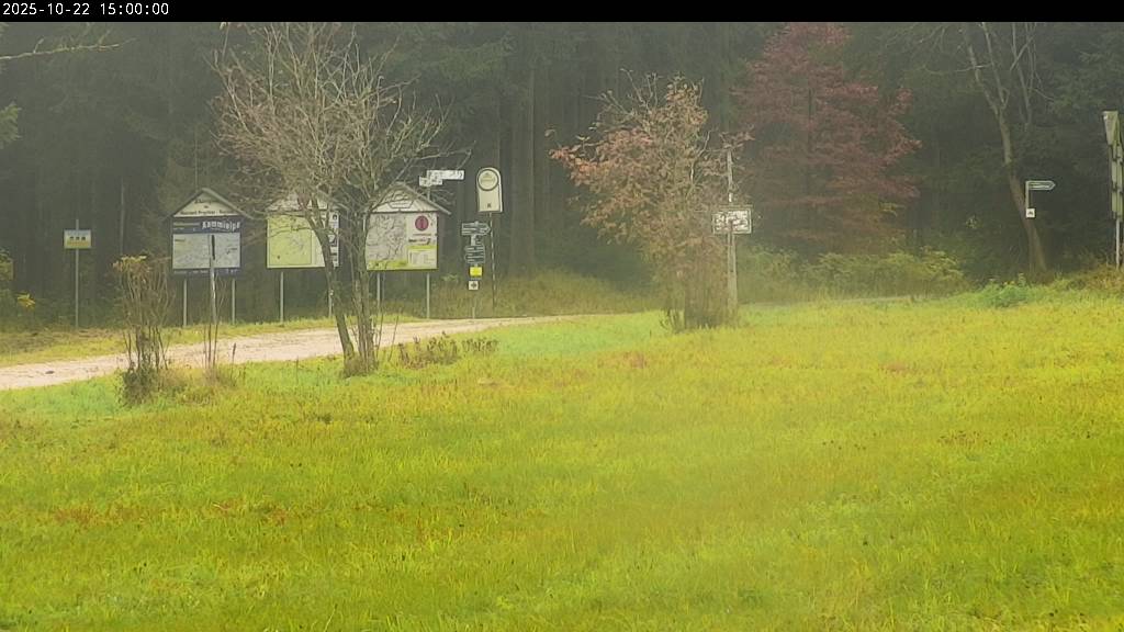 Webcam Johanngeorgenstadt