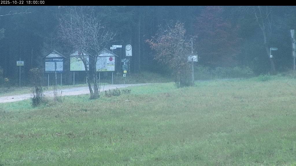 Webcam Johanngeorgenstadt