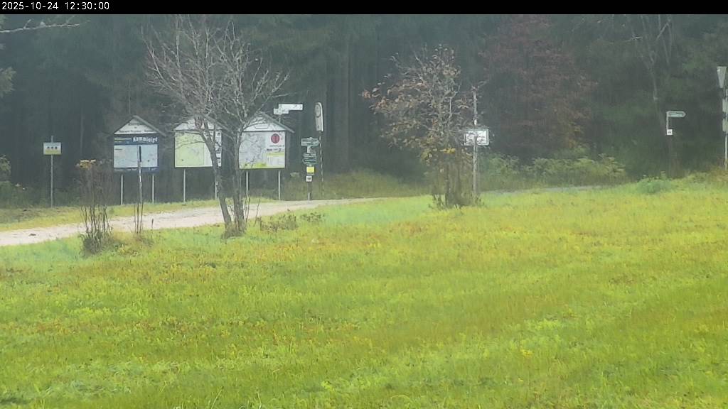 Webcam Johanngeorgenstadt
