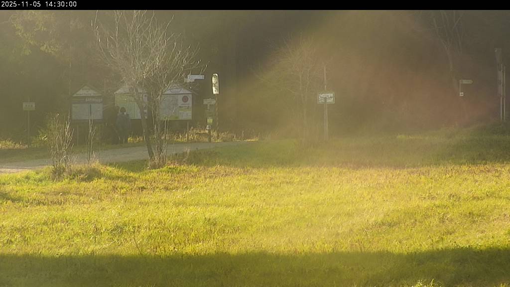 Webcam Johanngeorgenstadt