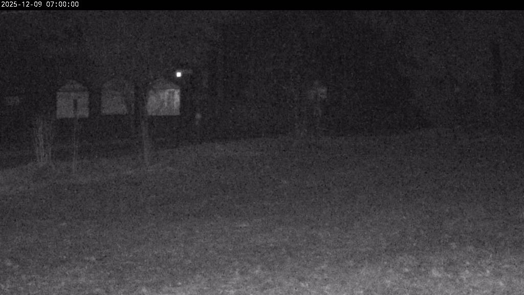 Webcam Johanngeorgenstadt