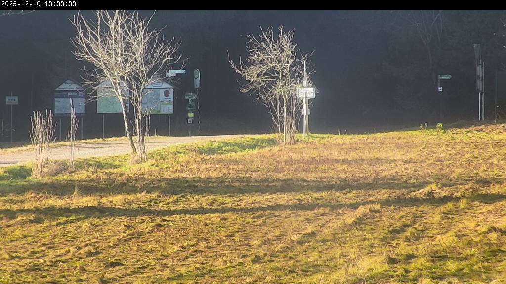 Webcam Johanngeorgenstadt