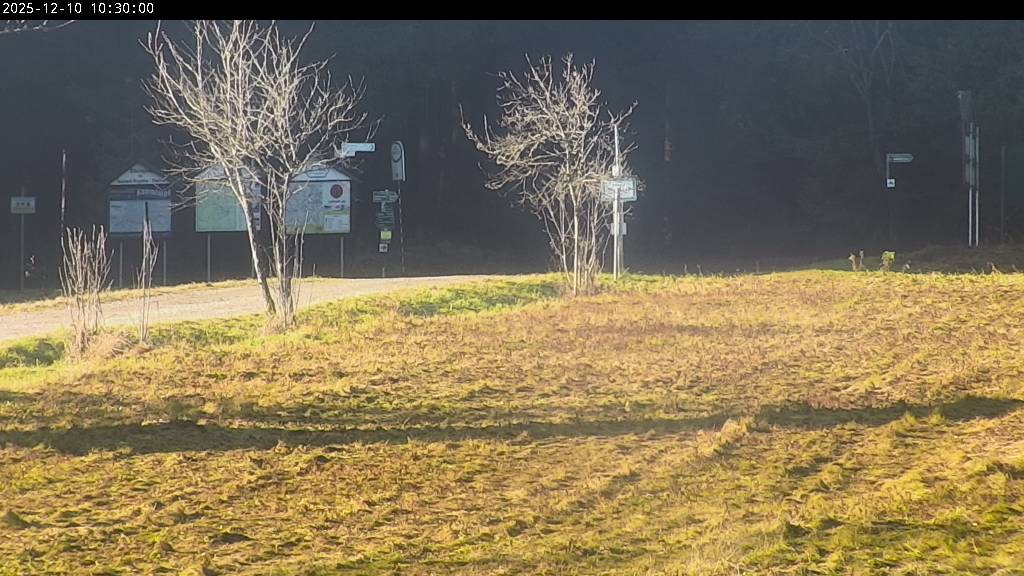 Webcam Johanngeorgenstadt