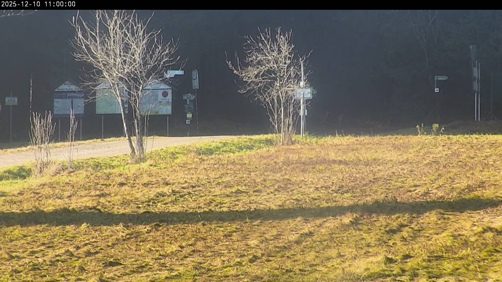 Webcam Johanngeorgenstadt