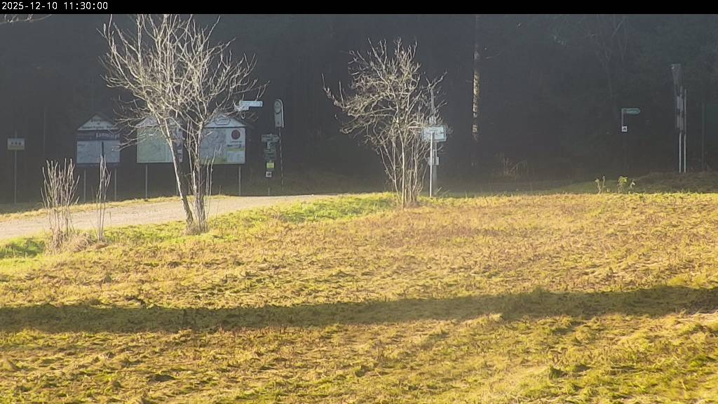 Webcam Johanngeorgenstadt