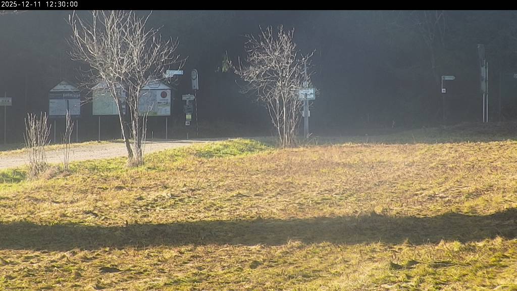 Webcam Johanngeorgenstadt