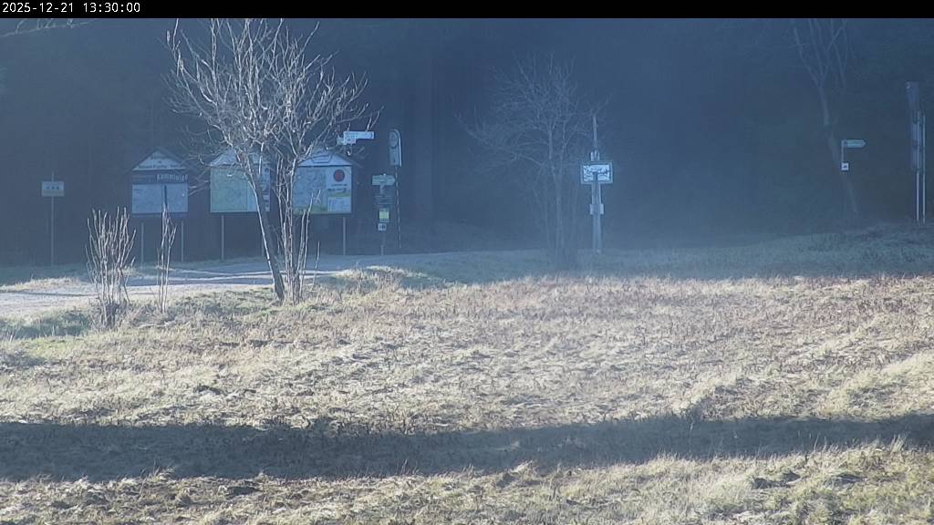 Webcam Johanngeorgenstadt