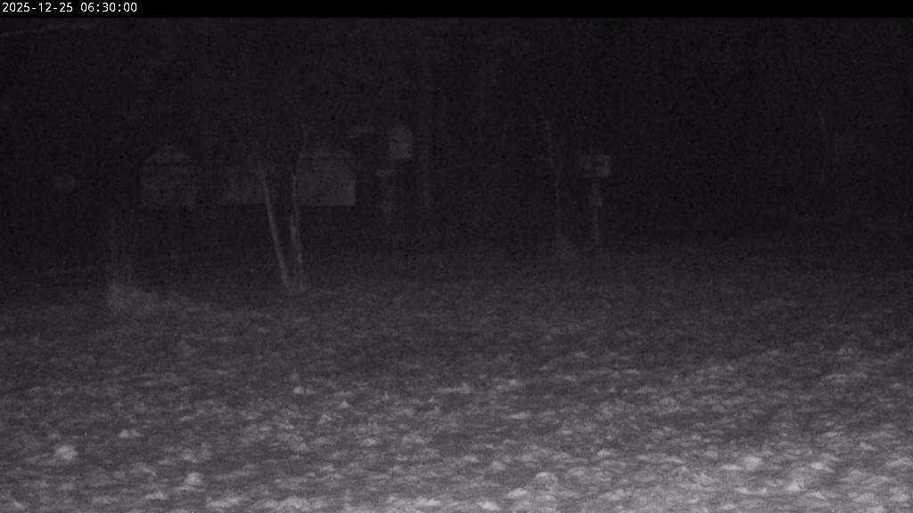 Webcam Johanngeorgenstadt