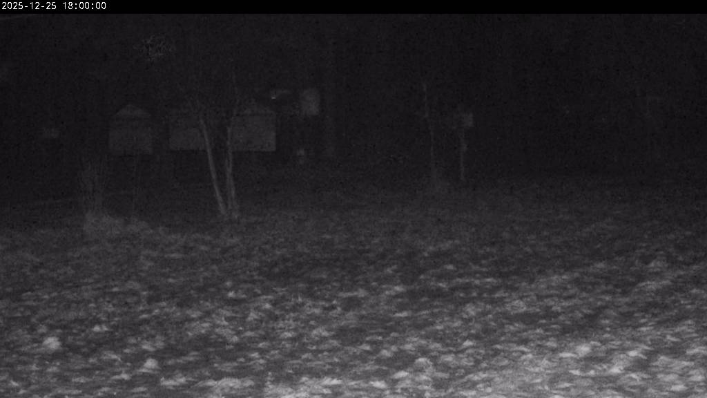 Webcam Johanngeorgenstadt